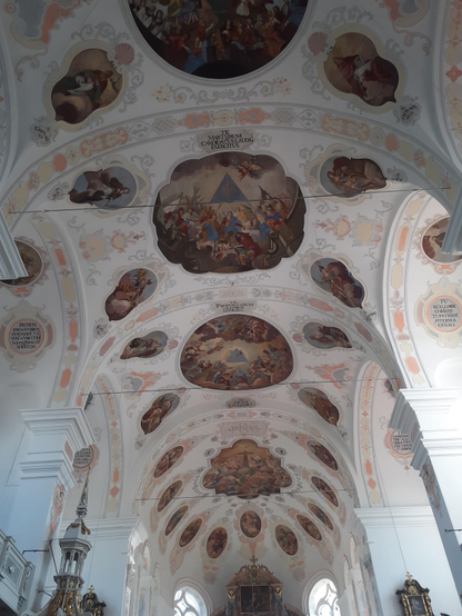 #Basilika St. Peter 
#Kirche #church #eglise #iglesia 
#Dillingen/Donau #Bavaria #Germany  
#photo #photography #photos 
#pictures #picture #photographie  