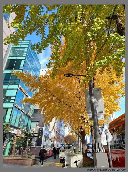 Hapjeong, Seoul, Korea