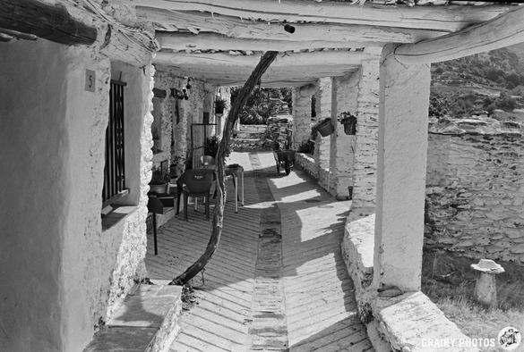 Black and white photo of a rustic porch in Capileira with wooden beams, chairs, and a table. A diagonal vine grows up through the porch roof while potted plants hang along the wall. A hilly landscape is visible in the background.