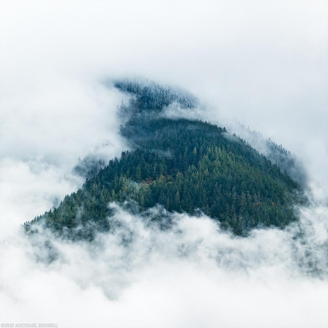 A conifer forested mountain slope is revealed as clouds clear in a triangular shape on the side of a mountain. The remainder of the frame is filled with clouds. There is a touch of fresh snow on the trees at the higher elevations.