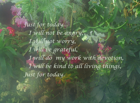 The Reiki principles on an Orchid garden background photo.