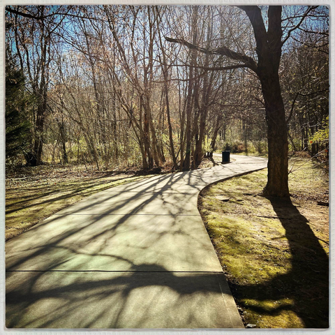 Shadows on a paved walking trail