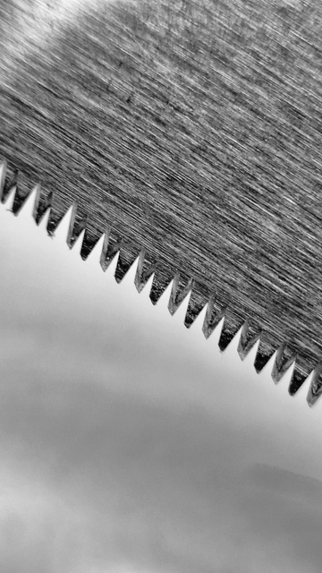 Detailaufnahme in Schwarz-Weiß vom Sägeblatt einer japanischen Handsäge für Holz. Der Körper des Sägeblatts mit seinen Zähnen verläuft fast diagonal von links oben nach rechts unten durch das Bild wobei die Zähne nach unten zeigen. 