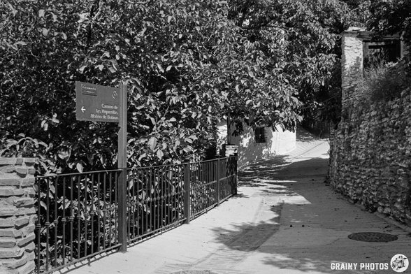 A sunlit concrete path lined with a metal fence and trees winds along the edge of Capileira, leading past a building partially hidden by foliage; a signpost is on the left. The image is in black and white.