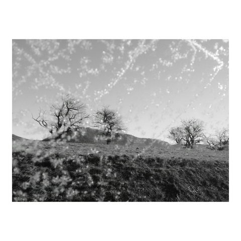 A landscape of small mountains covered in bare trees is seen through a frost-decorated window. (Version françæ) Paysage de petiz montagnes aox arbres nuz vux à travers æn vitre décoræ de cristaux de gel.