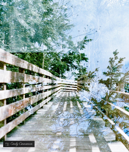 Photographie double exposition en argentique par Cindy Cinnamon