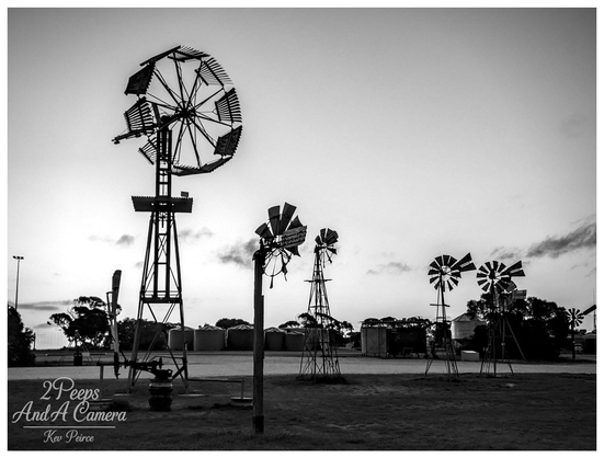 Black and white photograph showing a collection of historic windmills at Penong, South Australia.

A large, complex multi bladed windmill dominates the left side, standing tall over several smaller, traditional farm windmills and towers.

In the mid-ground, a row of large cylindrical water tanks or silos is visible, and the sky is bright with subtle clouds, giving the scene a dramatic, high contrast, silhouetted look.