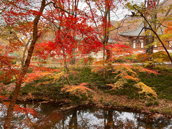 A serene autumn landscape featuring vibrant red, orange, and yellow foliage surrounding a tranquil pond. In the background, a traditional Korean building with a curved roof is partially visible among the trees. The scene captures the beauty of fall in a peaceful setting.