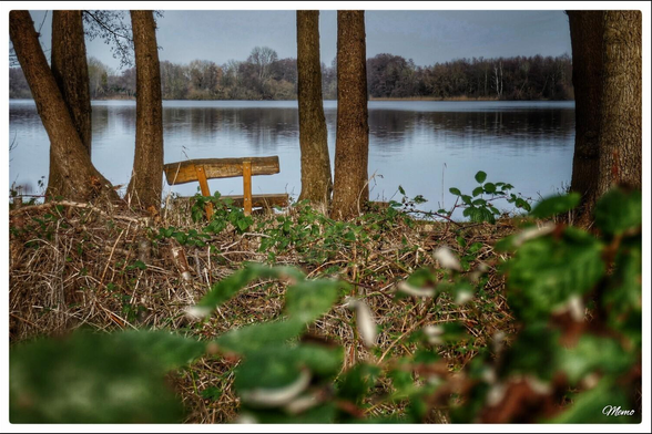 Bildbeschreibung: 
Eine hölzerne Sitzbank hinter einem Dickicht an einem Seeufer.
