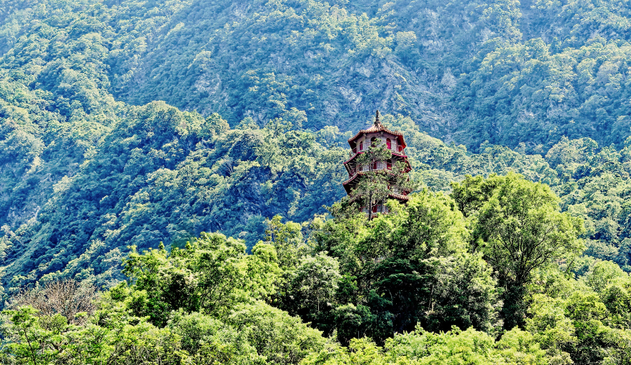 A pagoda partly covered by trees in the mountains.
