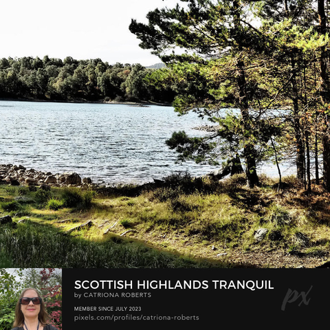 Coloured photograph featuring the design-

Scottish Highlands Tranquil Lochside in Autumn.

I took this photo during a lovely nature walk through the Scottish Highlands. 

Features a serene Loch Vaa bordered by Pine trees showing early autumn colors. 

Sunlight filters through the branches, illuminating the grass.

Click links on the main post for options.

