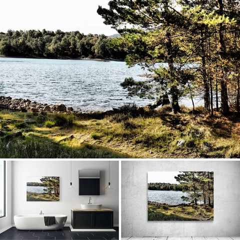 Above coloured photograph featuring the design- 

Scottish Highlands Tranquil Lochside in Autumn.


Lower left design on a Canvas Print on a wall above  a couch. 

Lower right design on a Canvas Print on an exhibition wall. 

I took this photo during a lovely nature walk through the Scottish Highlands. 

Features a serene Loch Vaa bordered by Pine trees showing early autumn colors. 

Sunlight filters through the branches, illuminating the grass. 

Mockups combined in a grid format in canva.com

Click links on the main post for options.

