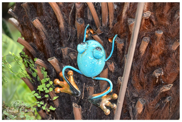 A close up photograph by Kev Peirce of a garden ornament: a small, brightly colored tin frog painted in speckled turquoise blue with metallic copper/orange feet.

The frog is resting on the rough, dark brown, fibrous trunk of a palm or fern tree. Small green ferns are visible on the left.
