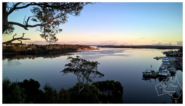 A wide, horizontal view of Macquarie Harbour in Strahan, Tasmania, at sunset. The calm water reflects the soft gradient of the sky, which transitions from pale blue at the top to a warm orange pink near the horizon.  In the foreground, dark, lush foliage and a single small tree on an outcrop frame the scene, with the silhouette of a large tree branch extending over the upper left.  To the right, several fishing boats are moored near a dock and a cluster of low buildings.