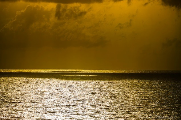 "The Caribbean Sea stretches wide beneath a dramatic sky, captured at either sunrise or sunset. The ocean’s surface shimmers with golden light, as if the sun has spilled molten metal across the waves. The water glows with warmth, yet the sky above is moody and textured—filled with dark, layered clouds that roll like smoke or velvet. The contrast is striking: the sea radiant and alive, the sky brooding and vast. There are no boats, no birds—just the elemental tension between light and shadow, water and sky. The scene evokes awe and quiet reverence, as if the sea itself is holding its breath beneath the weight of the heavens." - Microsoft Copilot