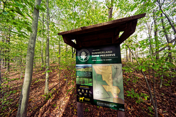 A Kiosk looks small and compressed in the center showing a map of the Summerland Farm Preserve and a logo with a circle surrounding a tree;  te sign is surrounded by young trees with light green leaves