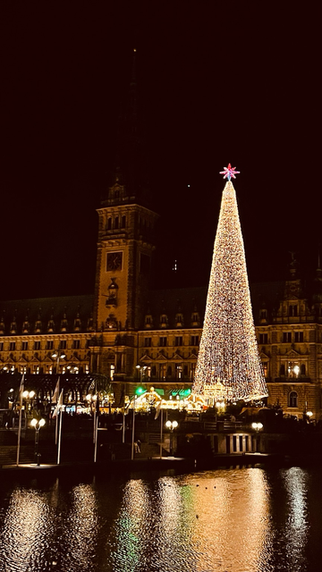 Es geht bald wieder los: Weihnachtsmarkt auf dem Hamburger Rathausplatz.