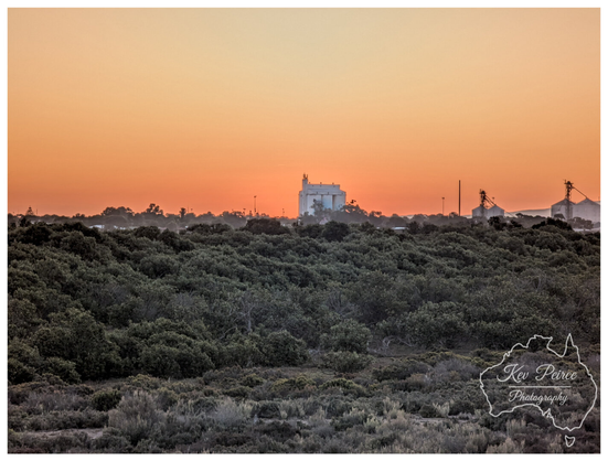 Colour landscape photograph of a sunset over Cowell, South Australia, signed by Kev Peirce Photography.

The foreground is dominated by dense, low lying scrub and native Australian bush in shades of dark green and brown. 

Above the tree line, in the mid ground, a large white grain silo complex stands silhouetted against a brilliant, fading sunset.

The sky is a gradient of clear orange and pale yellow, suggesting the sun has just dipped below the horizon, with industrial structures visible on the skyline.