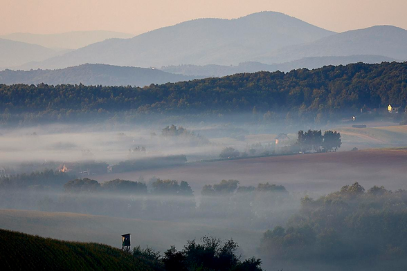 The photo shows a peaceful, mist-shrouded landscape with gently rolling hills stretching into the distance. Soft morning light bathes the scene in pale pastel tones, creating a calm atmosphere. Multiple rows of rolling, wooded hills stretch towards the horizon, each layer fading slightly and growing lighter the further back it recedes, enhancing the sense of depth. In the foreground, grassy fields and scattered bushes are partially obscured by horizontal streaks of thin ground fog. Near the bottom left corner, a small wooden hunting platform stands alone on a sloped grassy patch, emphasising the tranquil solitude of the place.