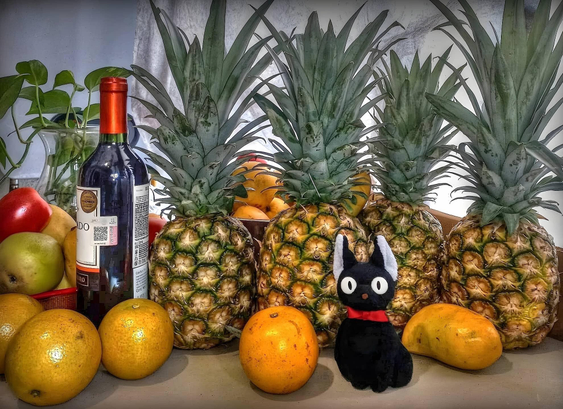 Still life with pineapples and a cat (Jiji)
Photograph by MCN, 2024
