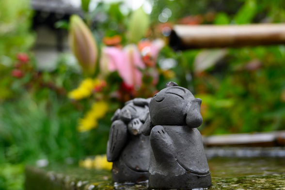 手水鉢の花が飾られた対角線上にある縁には小さなお地蔵さんのフィギュアも飾られている。/ 2025.11.12 裏寺通・宝蔵寺から