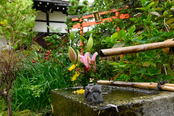 宝蔵寺の入口を入ってすぐにある手水鉢。奥には小さな鳥居も見えている。/ 2025.11.12 裏寺通・宝蔵寺