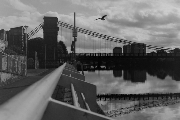 Yashica MAT124G | Kodak Tri-X 400 | Shot at 320 + Med Yellow Filter | Developed in XTOL

A different bridge viewed from the riverside walkway.  A bird is flying overhead
