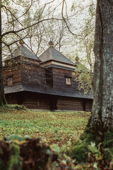 An old black Orthodox church, visible through the trees, with branches and bark entering the frame.