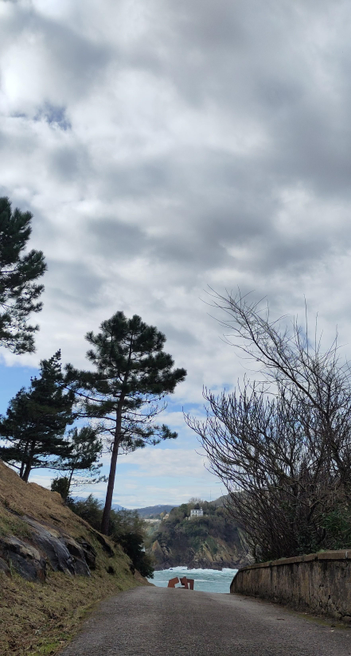 Der Blick führt über einen asphaltierten Weg, von Bäumen gesäumt, an einem Stück einer Skulptur vorbei aufs Meer. Felsen einer Insel sind dort zu sehen, obenauf ein weißes Gebäude. Der Himmel darüber leicht blau aber bewölkt.