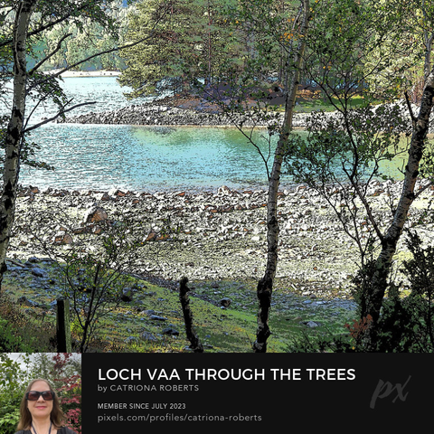 Coloured photograph featuring the design- 

Loch Vaa through the Trees.

I took this photo , using a creative photographic filter, during a lovely summer nature walk through the Scottish Highlands. 

Features a peaceful Loch Vaa resting amidst a forest of trees. 

Sunlight filters through the leaves, creating a tranquil and inviting atmosphere.

Click links on the main post for options.
