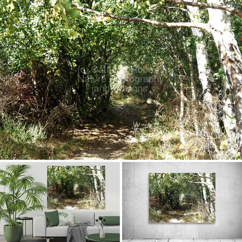 Above coloured photo featuring the design- 

Forest Trail Through Sunlit Trees in the Scottish Highlands.

Lower left design on a Canvas Print on a wall above a couch.

Lower right design on a Canvas Print on an exhibition wall.

I took this photo during a lovely nature walk through the Scottish Highlands. 

Features a serene Birch forest trail surrounded by lush green leaves and dappled sunlight. 

The trail leads deeper into a tranquil, natural setting. 

Mockups combined in a grid format in canva.com 

Click links on the main post for options. 









