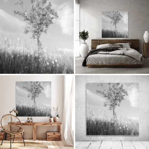 Upper left design on a Canvas Print. 

Upper right design on a Canvas Print on a wall above a bed. 

Lower left design on a Canvas Print on a wall above two small tables. Lower right design on a Canvas Print on an exhibition wall.  

I took this photo during a lovely summer nature walk through the Scottish Highlands, using the monochrome photographic filter, which gives an over all glossy effect. 

Features a solitary tree standing amidst tall summer grass and wild Daises. 

All is bathed in soft light that gives the scene a serene and dreamy quality. 

The gentle sway of the grass and the delicate play of light create a tranquil atmosphere. 

Mockups combined in a grid format in canva.com.

 Click links in the main post for options.