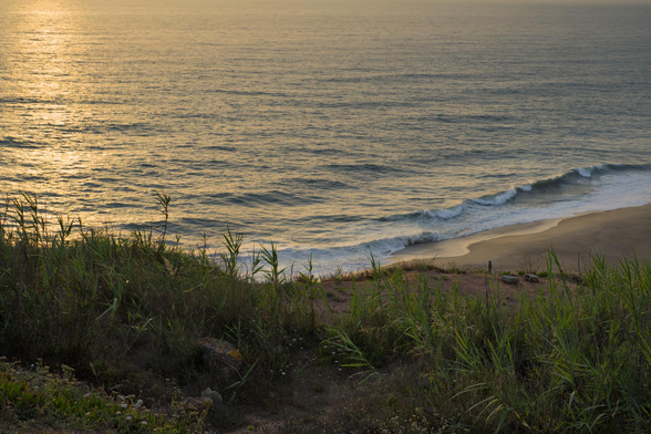Fotografía de un paisaje marino. En primer plano hierbas de distintos tipos sobre un acantilado dan paso a un camino que se ve parcialmente y en otro plano, más abajo y lejano la playa, con olas rompiando, en la parte central derecha del cuadro. La mitad superior del cuadro la ocupa una masa de agua del oceano, a la izquierda el reflejo del sol al atardecer dibuja un camino de reflejos dorados sobre las olas.