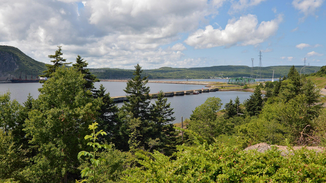 A photo of a strait with a causeway crossing it. There's conifer tree's blocking some of the view. The sky is blue with white clouds in it.
