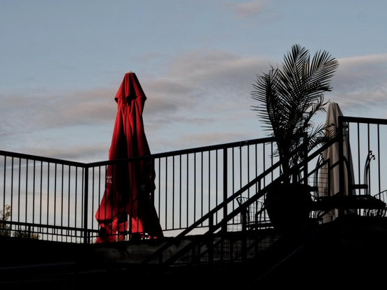 Looking up at a rooftop patio a red folded table umbrella can be seen glowing in the light from the setting sun as well as a large potted palm plant seen in silhouette. The railing around the patio can be seen as well as some clouds in the pale blue sky.