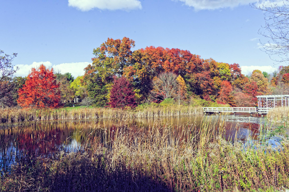 At the bottom and in front a thin patch of dried up grass and then a reflecting pond of irregular shape and past that more grass a big cluster of various colored trees as well an orange one all by itself under a blue sky
