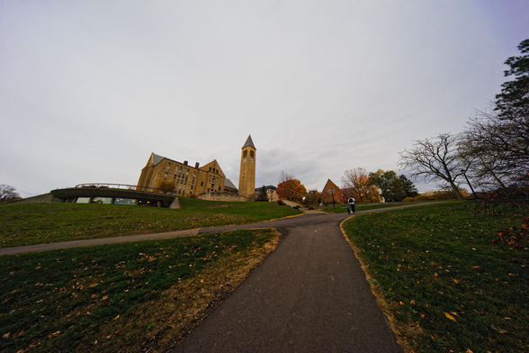 A asphalt foot path heads up from the center and joins one running left to right, way at the top a clock tower towers next to a stone building with windows visible under a birm and the peak of sage chapel surrounded by medium sized trees
