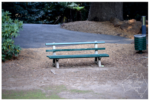 A slightly faded, dark green wooden bench with white or light gray concrete legs sits centrally on a patch of light brown dirt and wood chips.  A dark asphalt path curves behind the bench, leading toward the dark trunks of large trees and dense foliage in the background.  The photo has a soft, shallow depth of field, with the bench in focus. Signed by Kev Peirce.