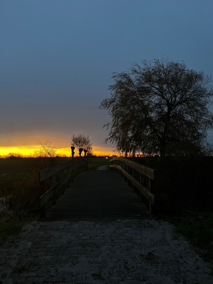 A wooden bridge leads towards a vibrant sunset, with warm yellow and orange hues contrasting against a darkening sky. Silhouetted trees are visible on either side, enhancing the tranquil scenery.