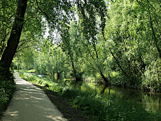 Foto van pad langs water