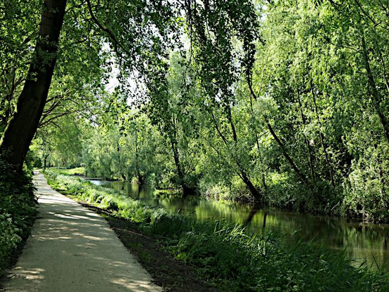 Foto van pad langs water