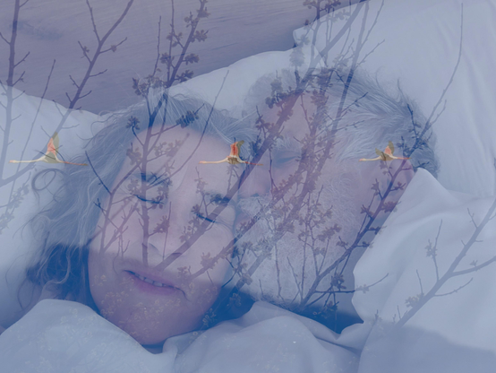 En esta triple imagen aparen superpuestos los siguientes escenarios: por un lado vemos una pareja mostrando un gesto de cariño y satisfacción (beso de él y sonrilla de ella), superpuesta a esta escena vemos varias ramas de árbol y el vuelo de tres flamencos, que parecen regalarnos un momento delicioso de bienestar y de paz.