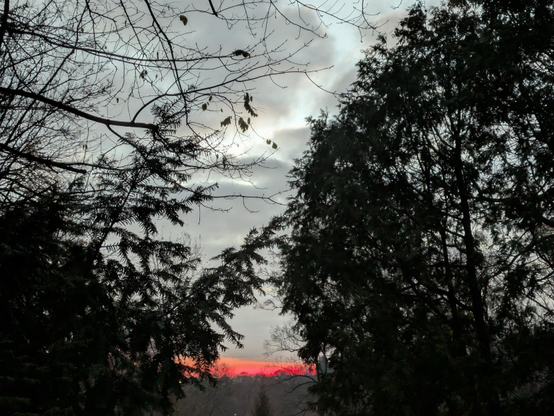Photo taken before sunrise at a clearing in the woods, looking east. There trees framing the scene are dark silhouettes. The sky is mostly cloud covered. Low and just below the center of the frame the sky is a deep red just above a distant red. It it the glow before the sun rises.