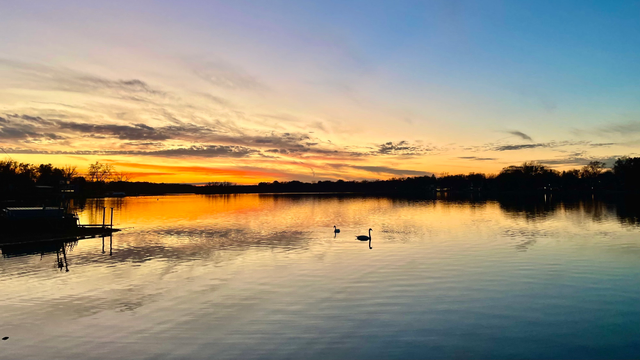 Sunset photo of a sunset behind a smooth reflective lake with orange light on the horizon and a pair of swans in silhouette in the middle distance.