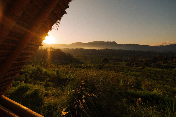 The morning sunrise.