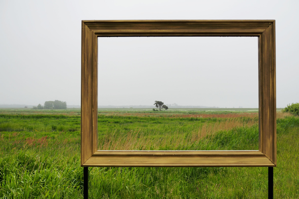 Ein goldener Bilderrahmen steht mitten in der Natur der Zingster Heide und rahmt einen Baum ein, der auf einer grünen Wiese steht. (Kunstaktion 2018, Marcel Schörken)

A golden picture frame stands in the middle of the Zingst Heath, framing a tree standing on a green meadow. (Art installation 2018, Marcel Schörken)