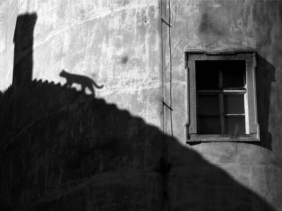 Zwart wit foto van Martin Dobeš. Op een muur van een oud huis is de schaduw afgetekend van het dak van het huis ernaast. Je ziet haarscherp de schaduw van een kat die tegen het schuine dak klimt richting schoorsteen..