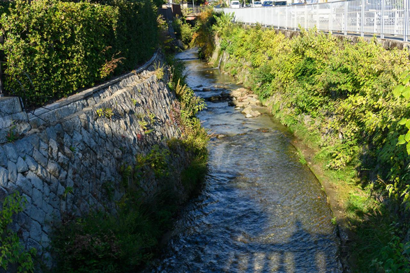 京都市動物園(東エントランス)のすぐ北にある橋から白川。この川が琵琶湖疏水との合流を経て、平安神宮前からまた分水し、祇園の方に流れていく。/ 2025.11.15 白川通から