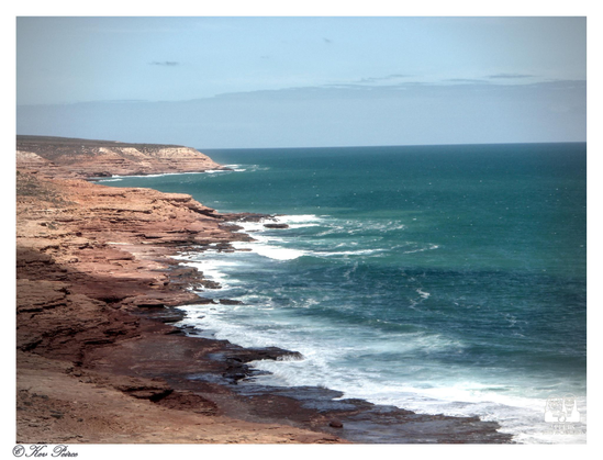 A sweeping panoramic landscape of the rugged Kalbarri coastline in Western Australia. Red and brown layered sandstone cliffs drop sharply to the deep turquoise ocean, where white waves crash onto the shore.

The horizon is flat under a pale blue sky. The signature 'Kev Peirce' is visible in the bottom left corner.