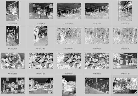 Black and White 35mm film negative photos